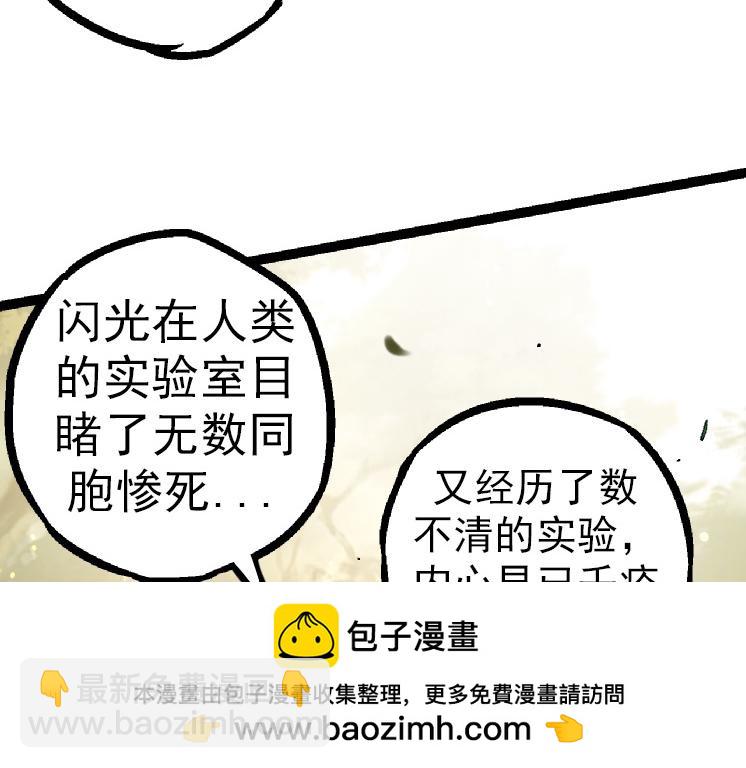 第 146 页