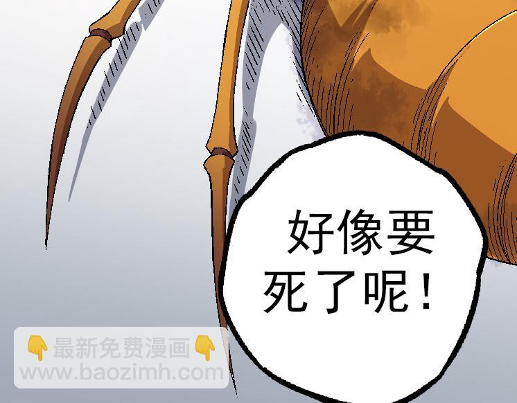 第 66 页