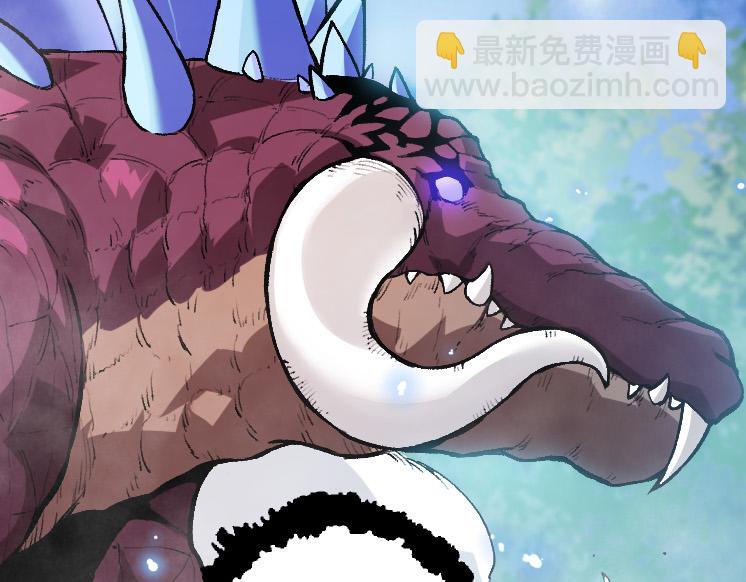 第 113 页