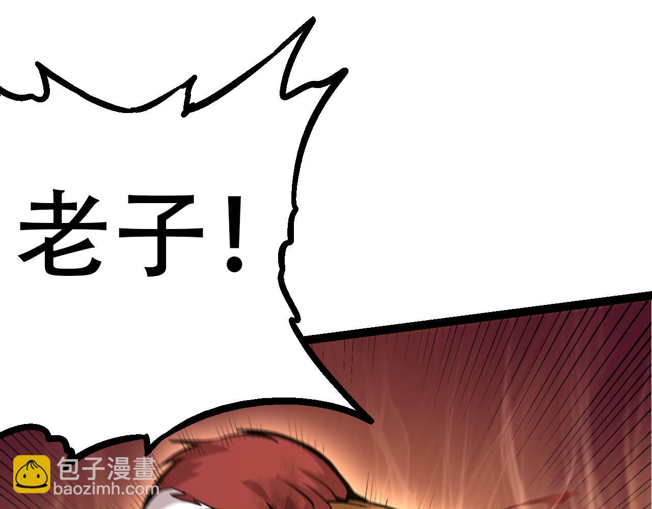 第 113 页