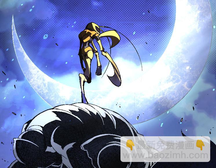 第 117 页