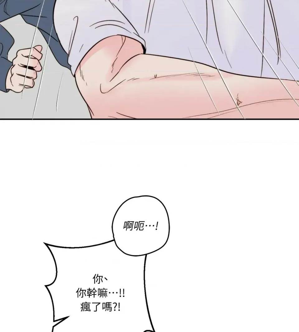 第 87 页