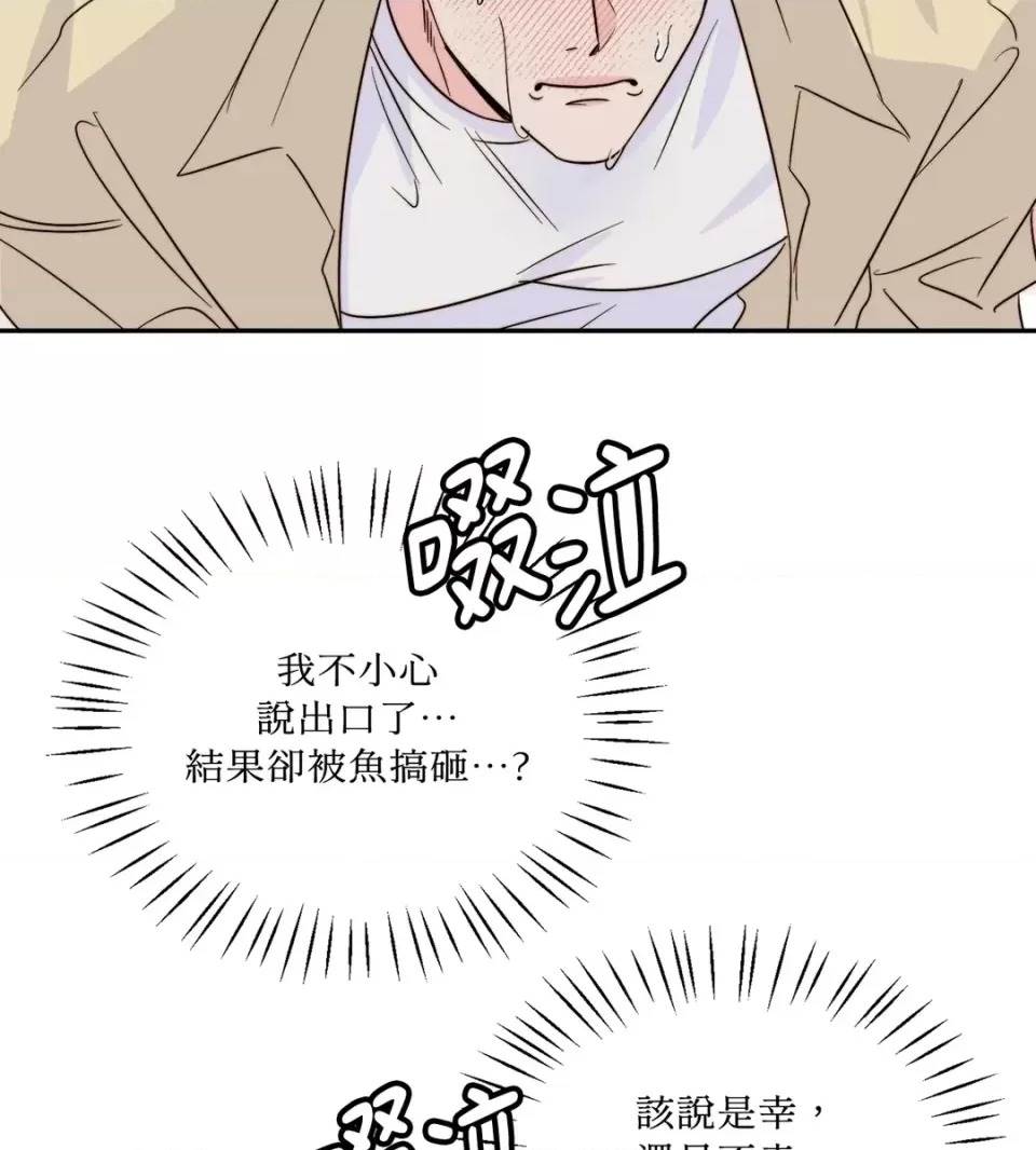 第 81 页