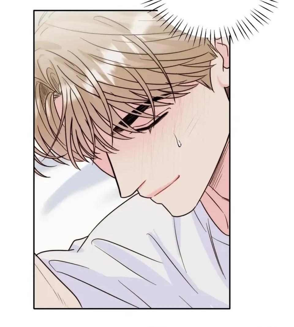 第 81 页