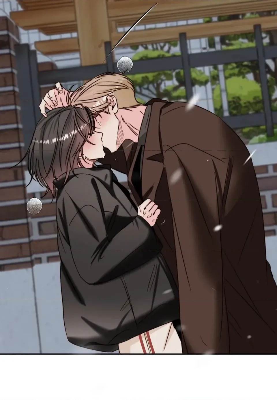 第 97 页