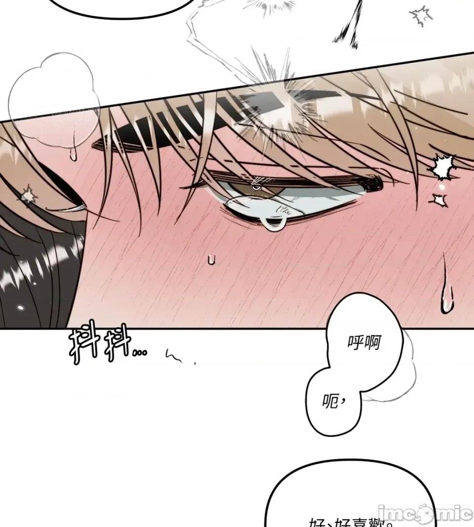 第 74 页