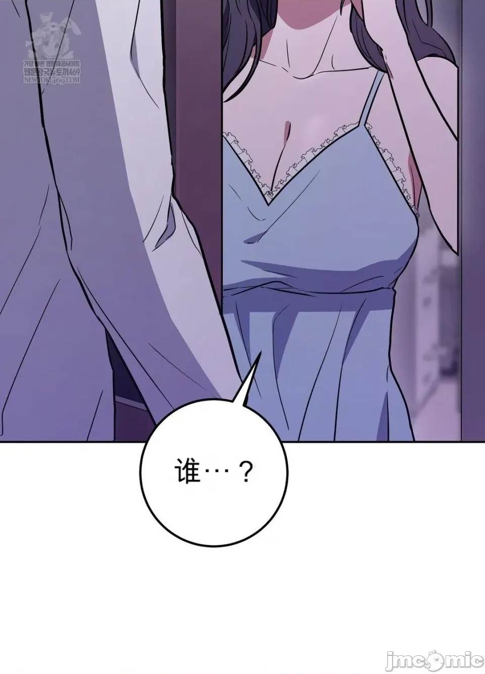 第 111 页