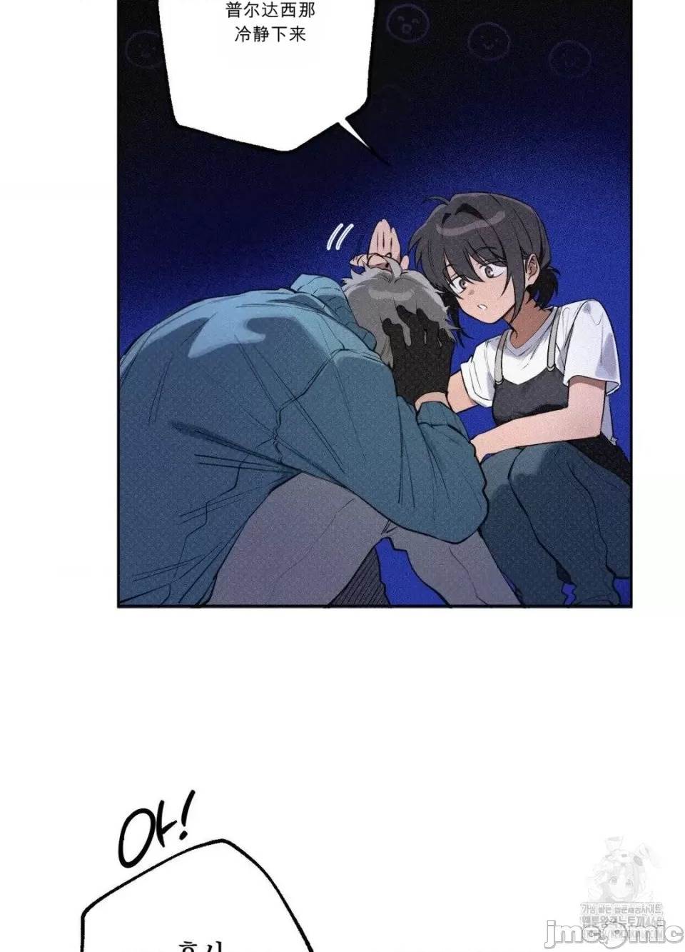 第 91 页