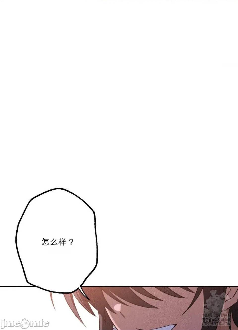 第 101 页