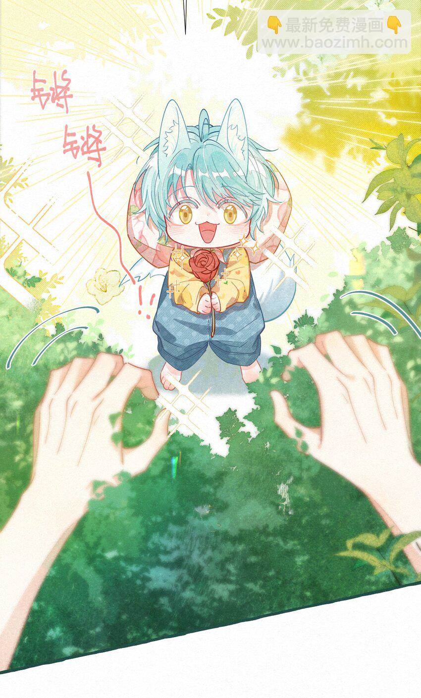 第 55 页