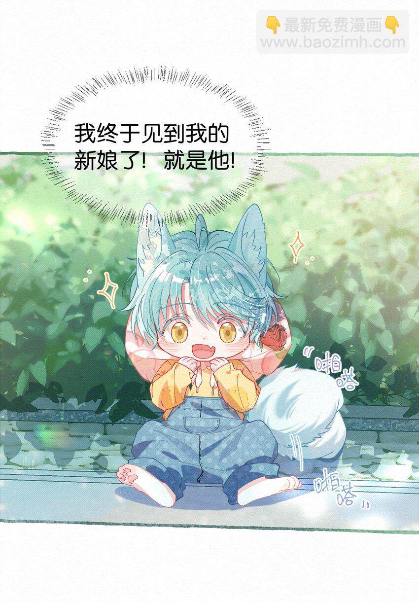 第 51 页