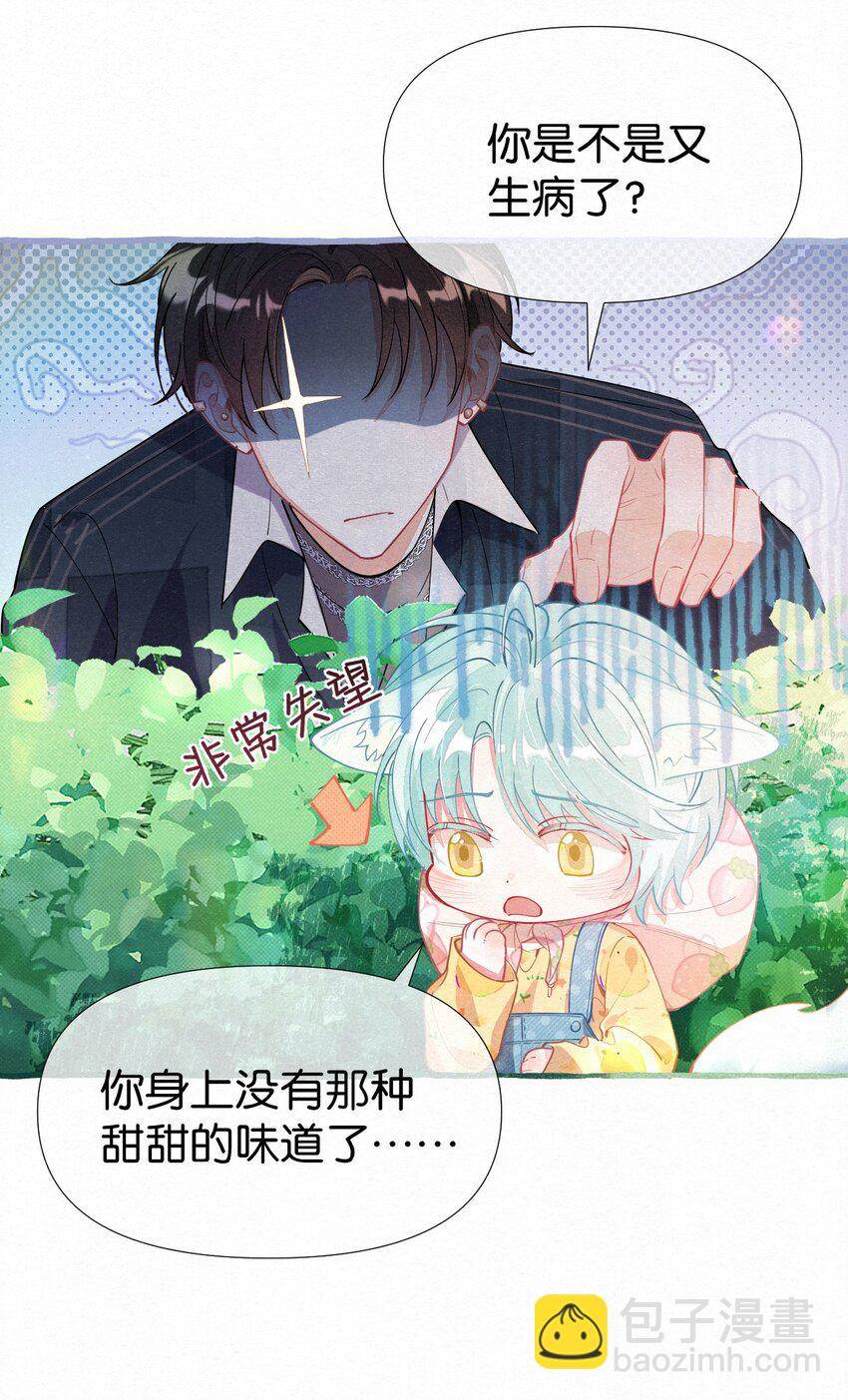 第 62 页
