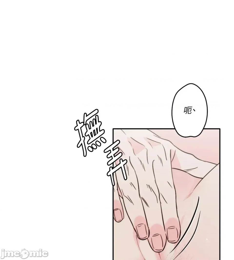 第 45 页