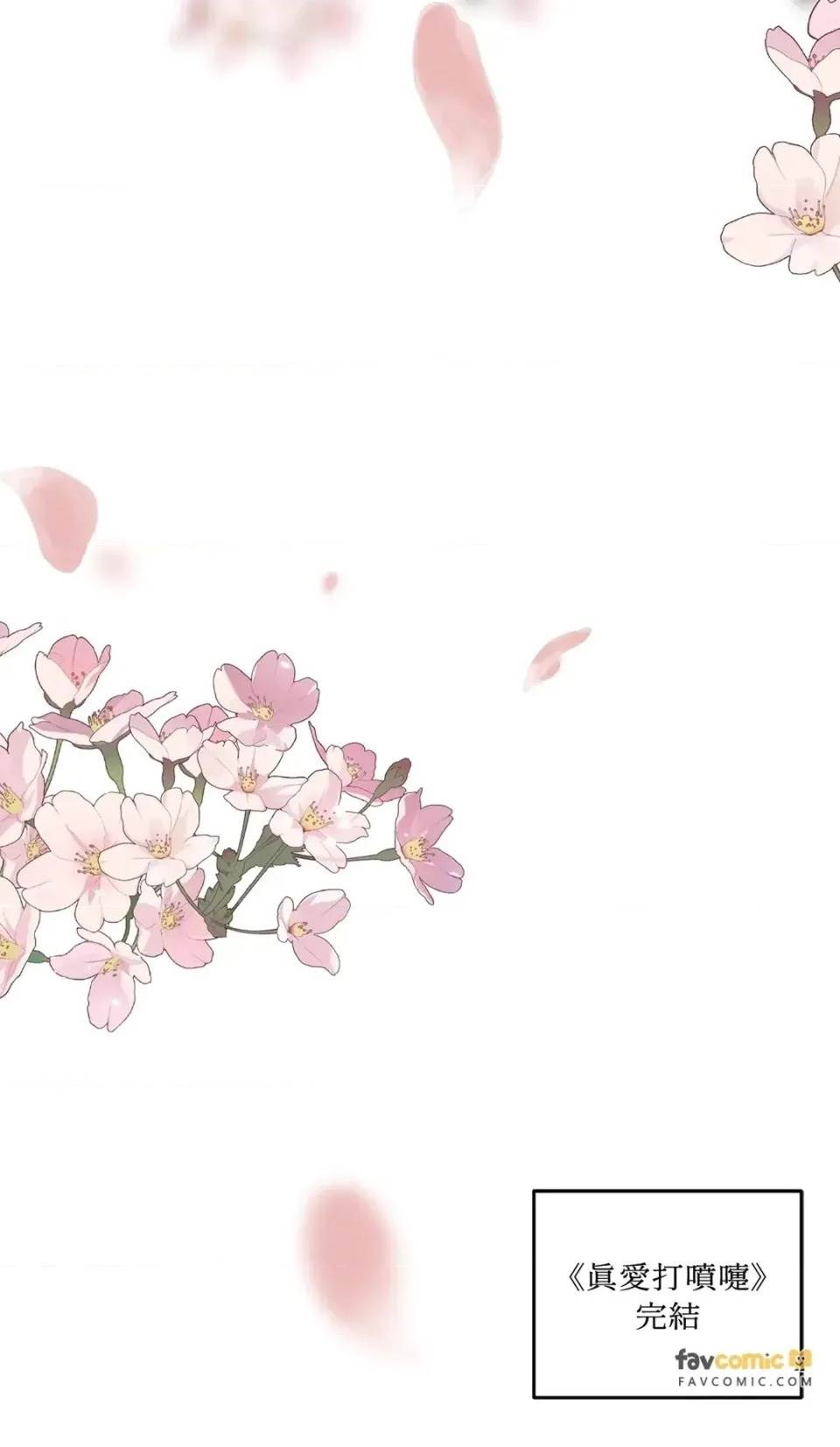 第 146 页