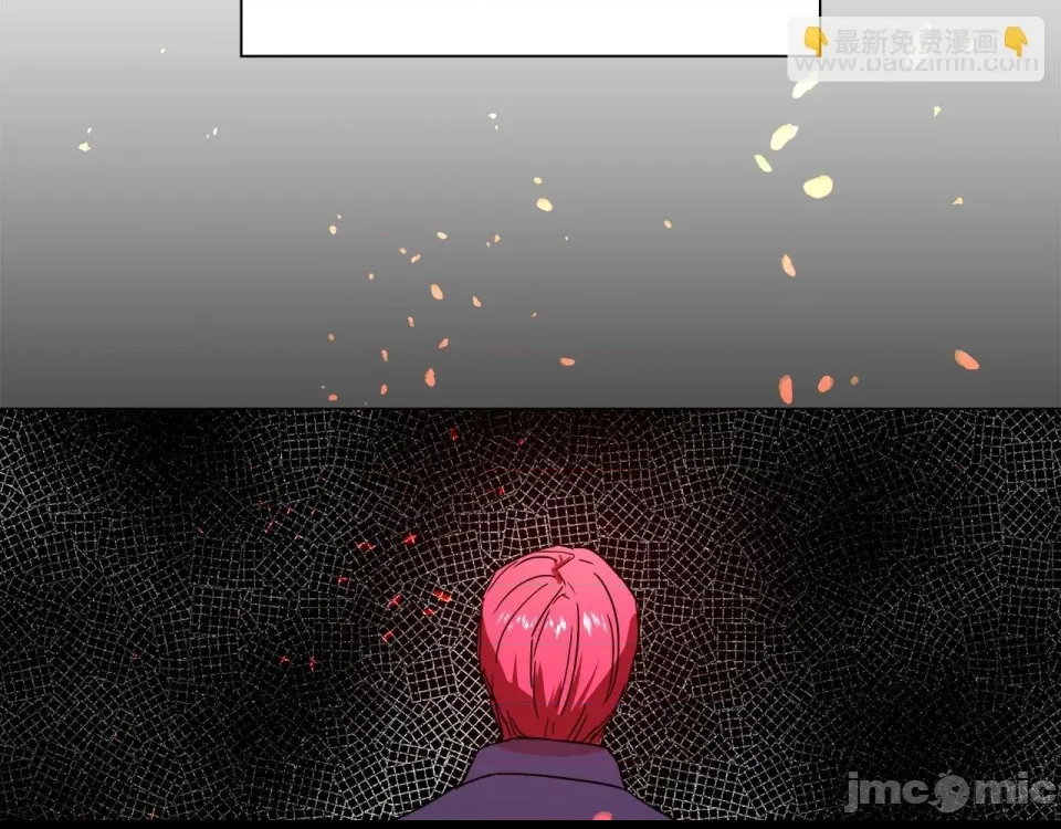 第 135 页