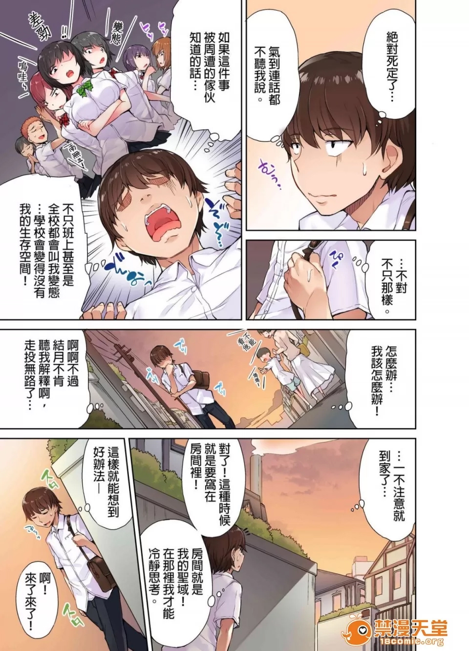 第 31 页