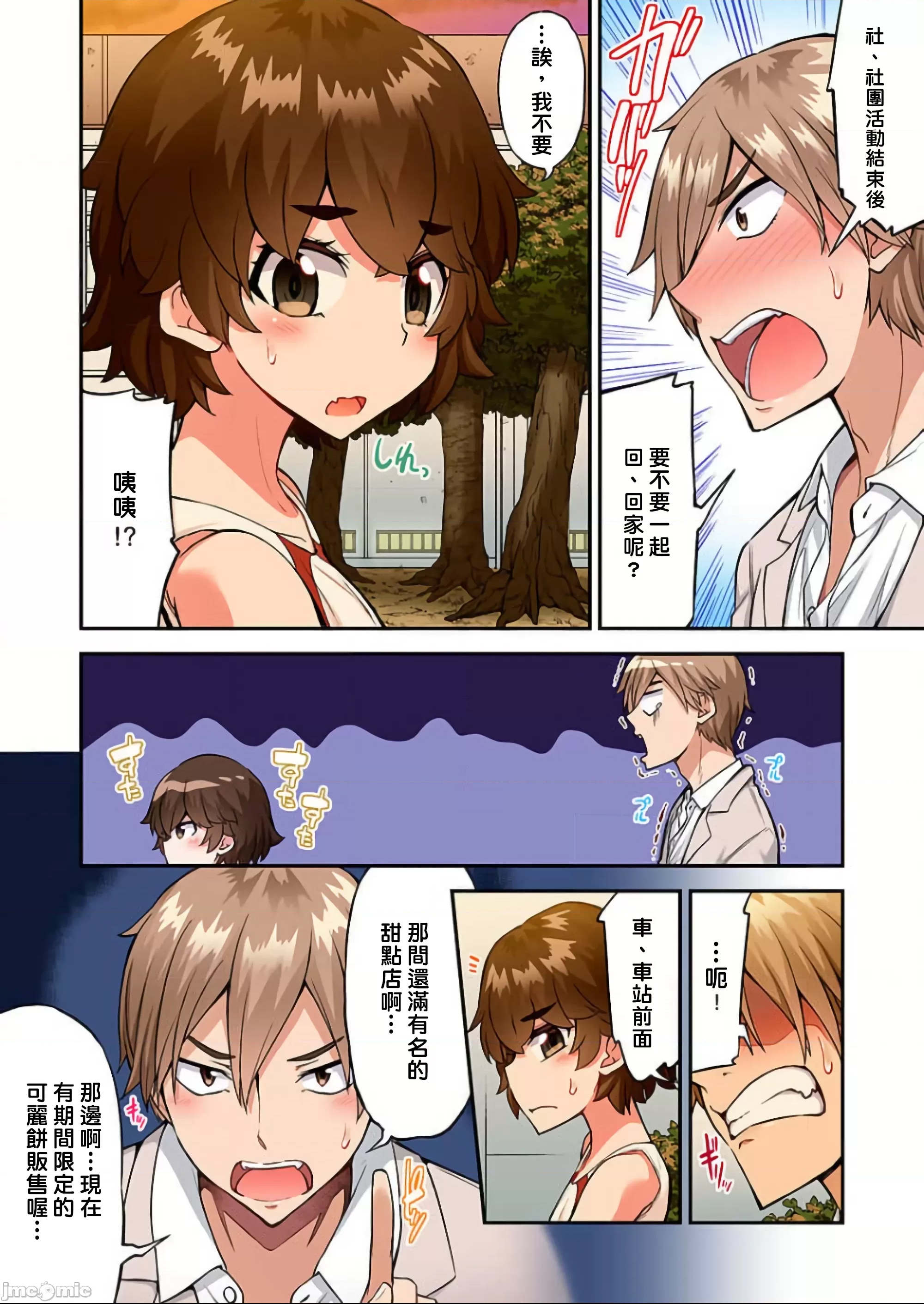 第 4 页