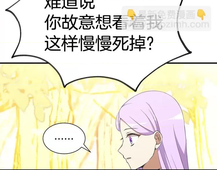 第 247 页