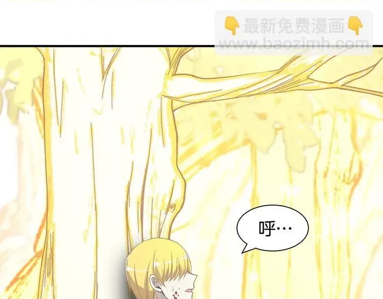 第 113 页