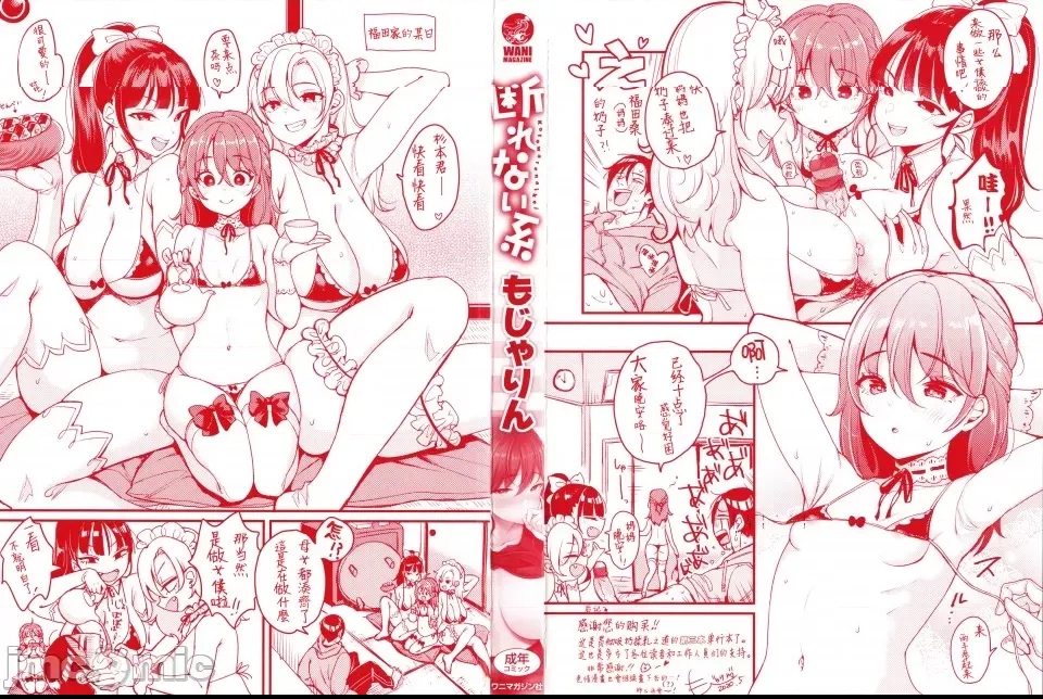 第 4 页
