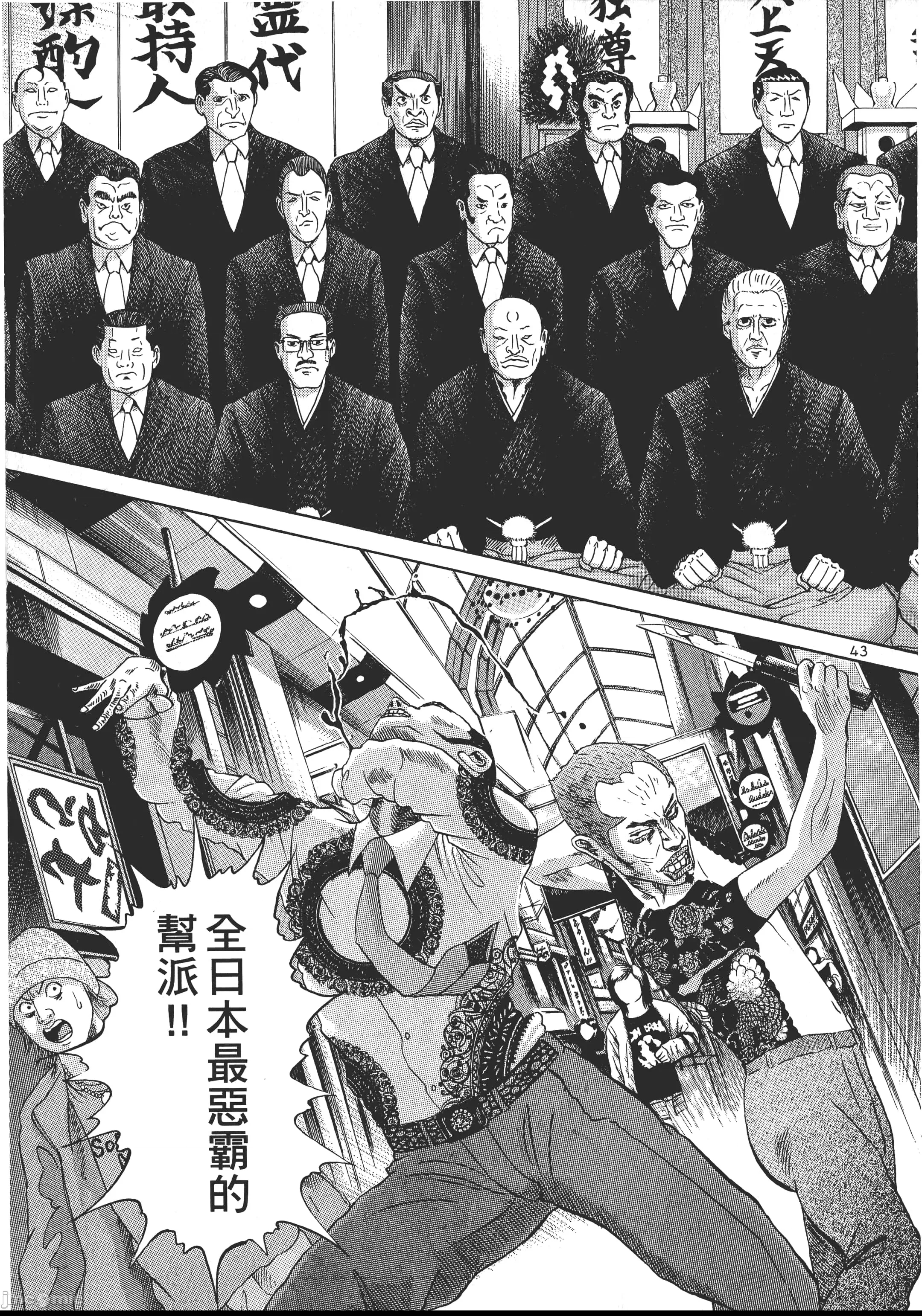 第 46 页