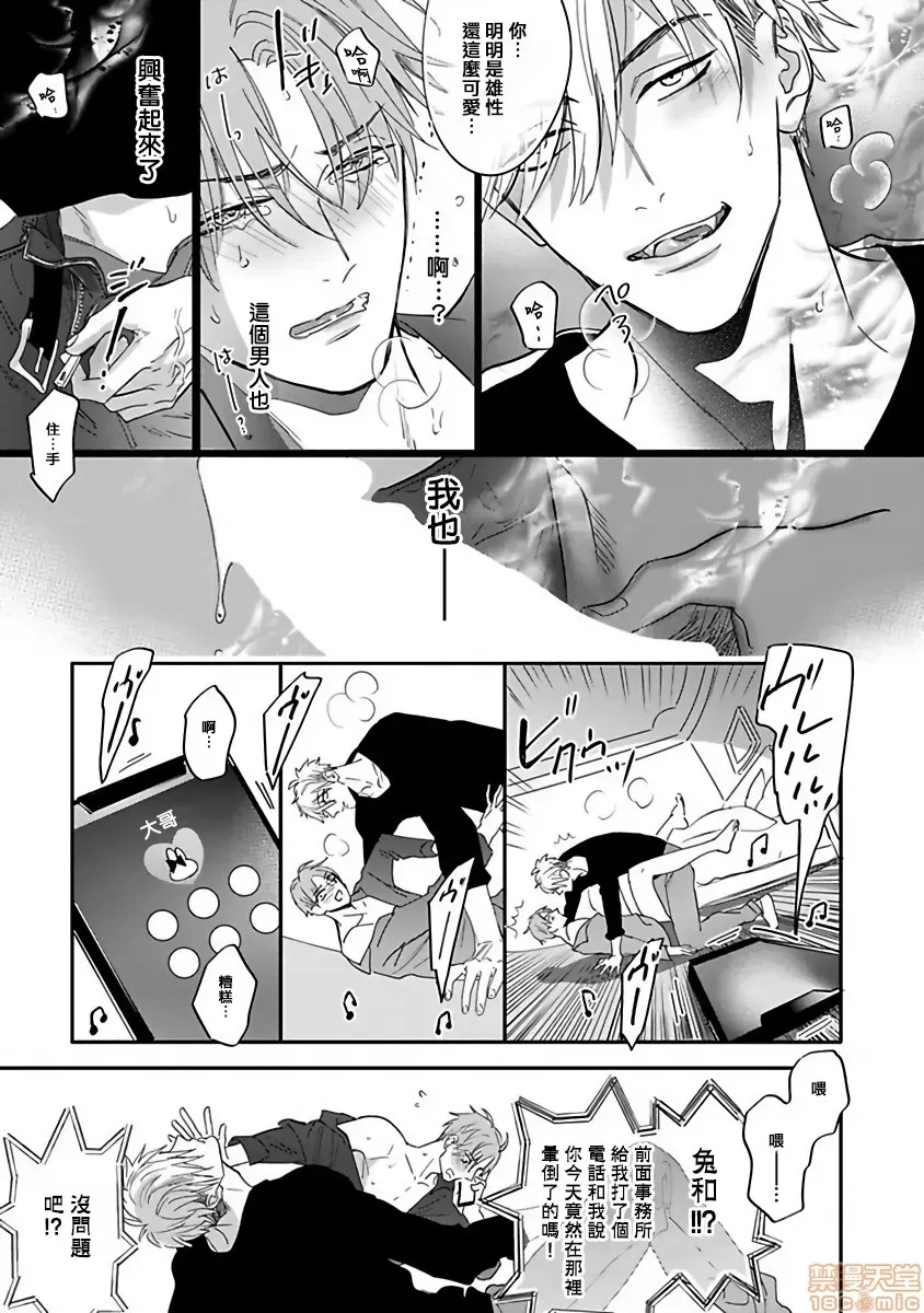 第 41 页