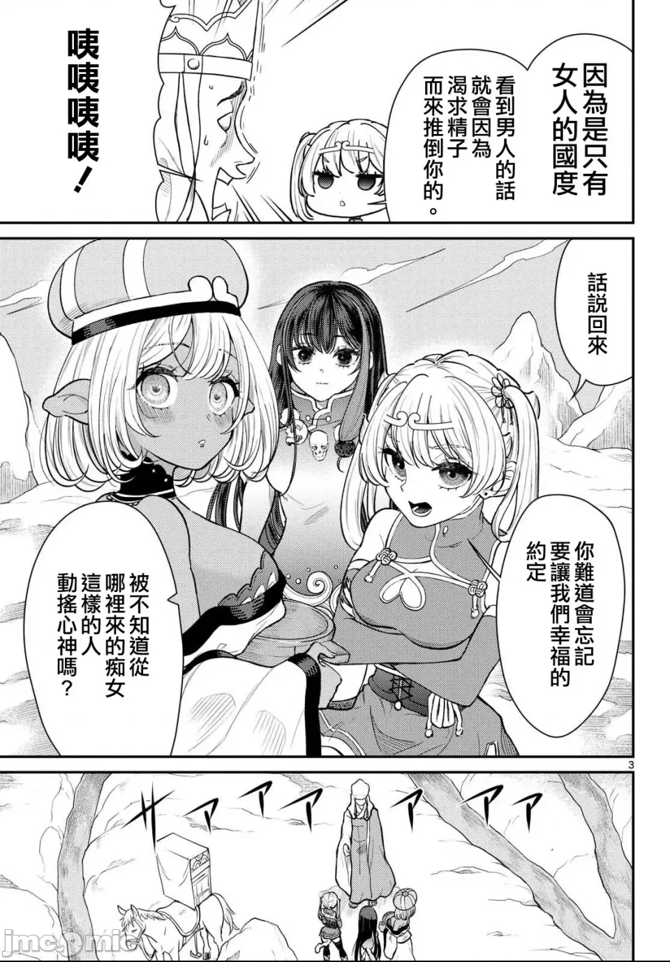 第 3 页