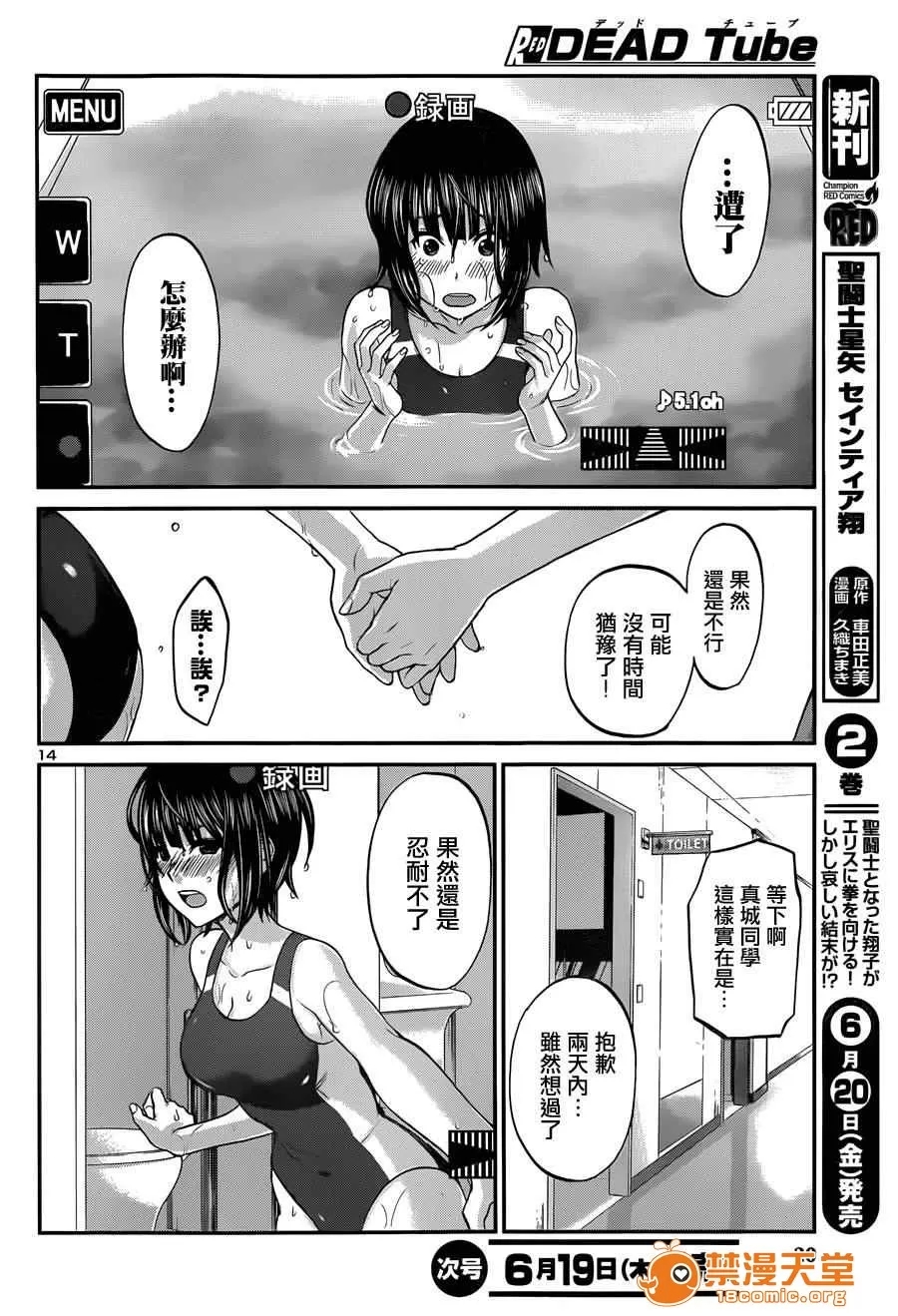 第 17 页