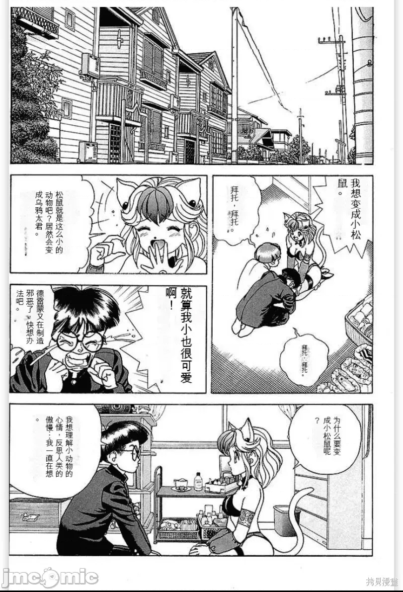 第 36 页