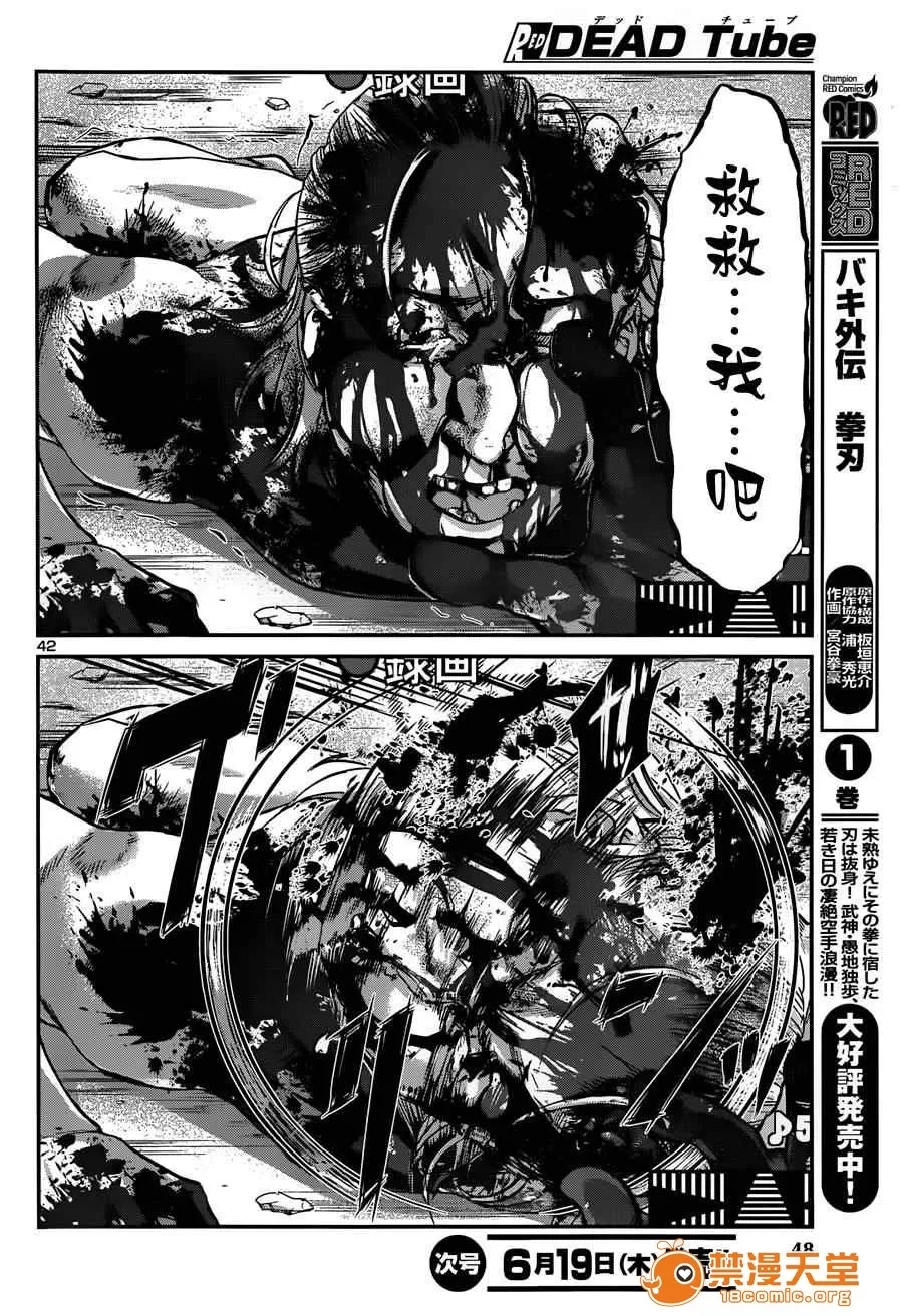 第 45 页