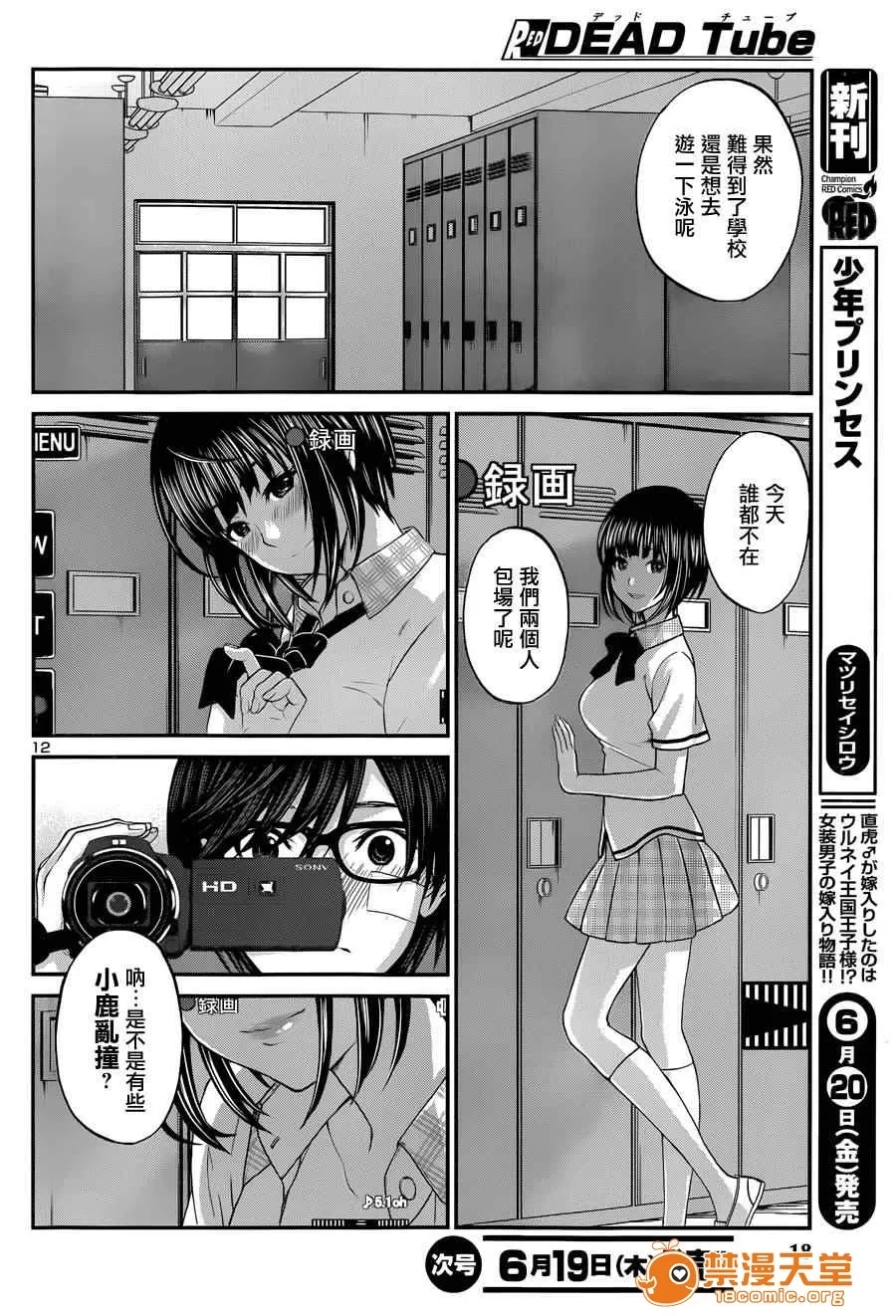 第 15 页