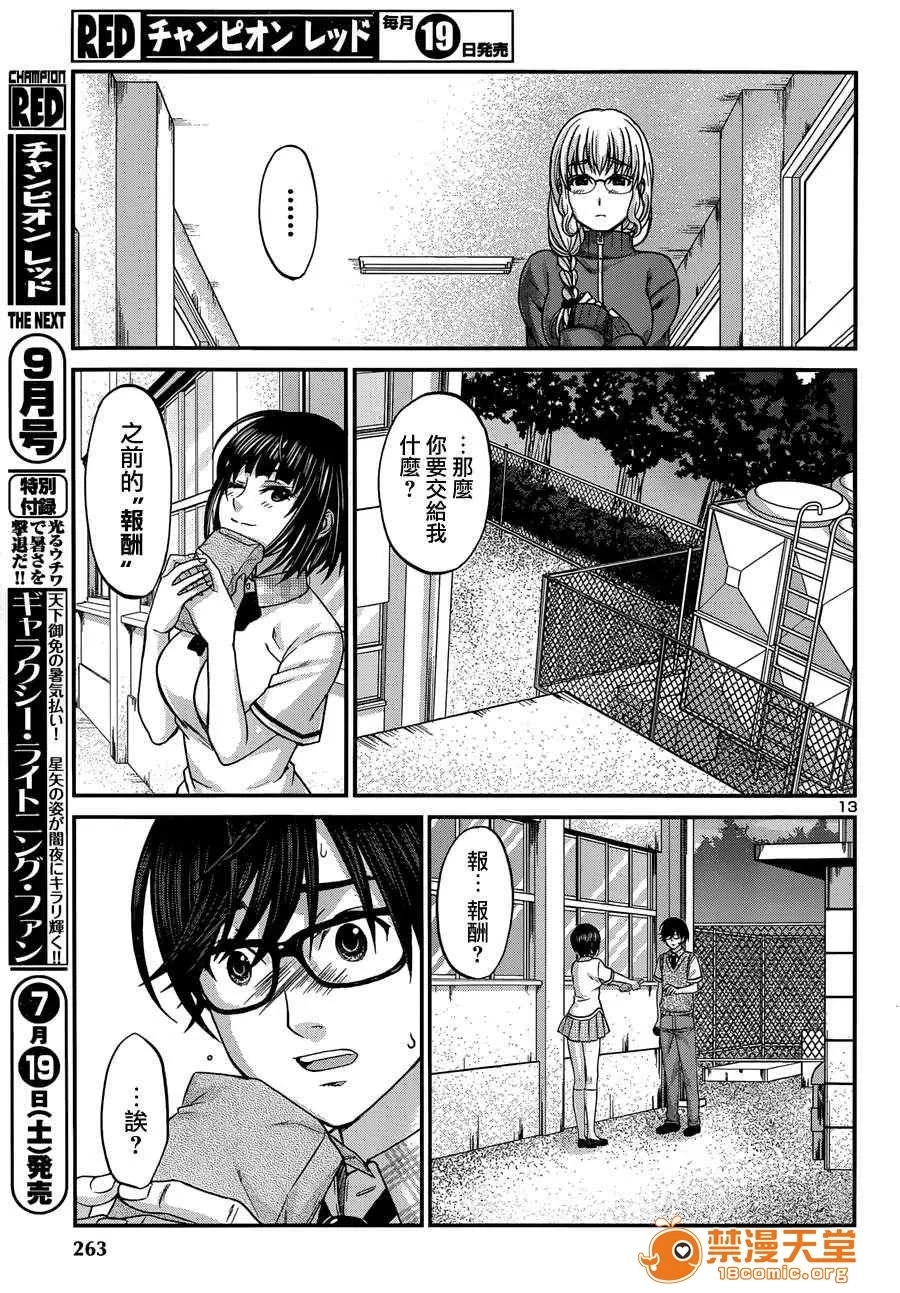 第 13 页