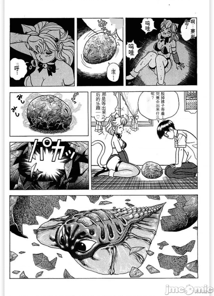 第 11 页