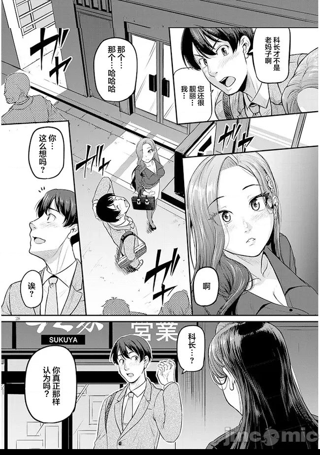第 28 页