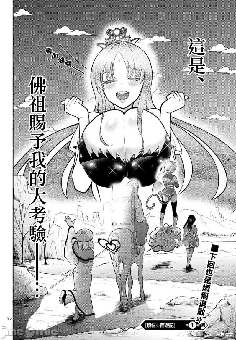 第 25 页