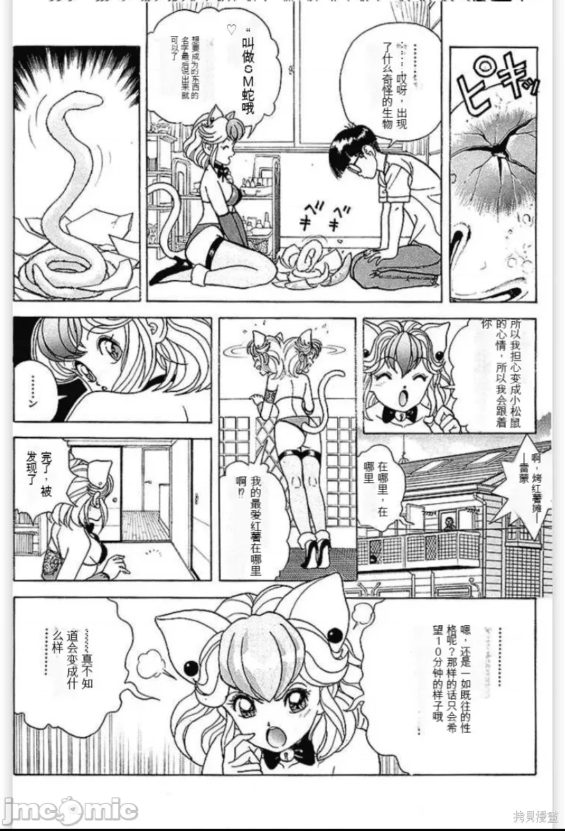 第 41 页