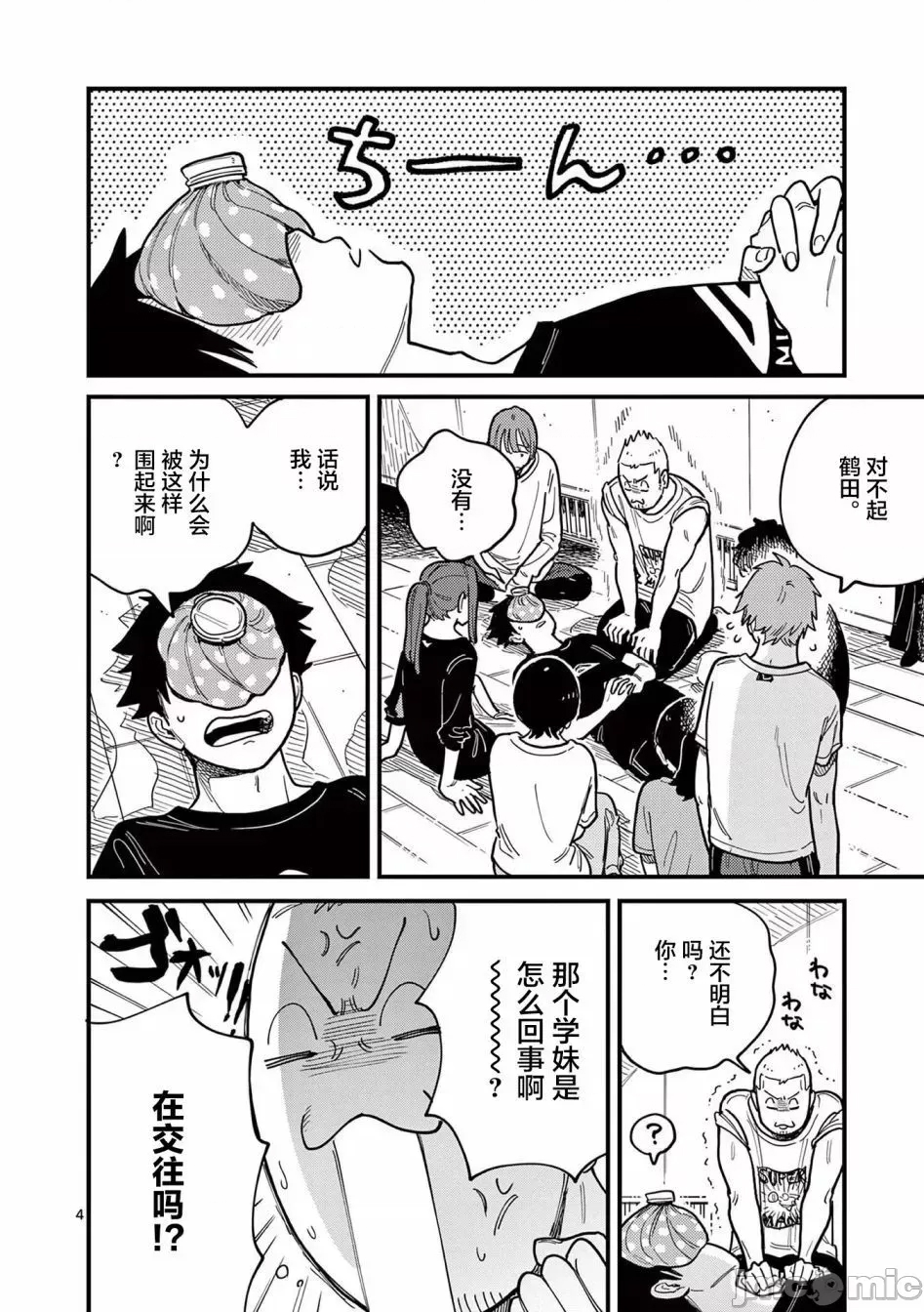 第 4 页