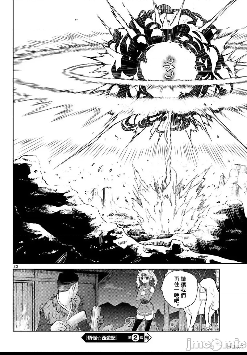 第 20 页