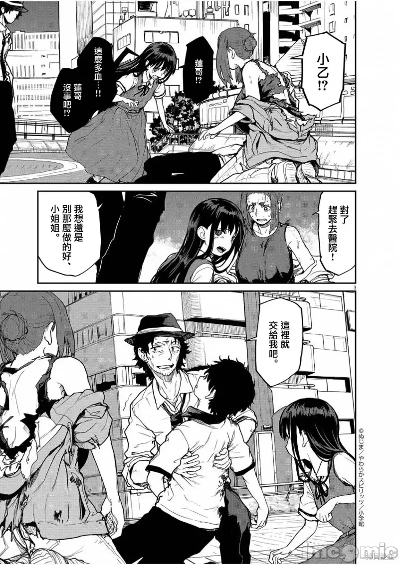 第 3 页