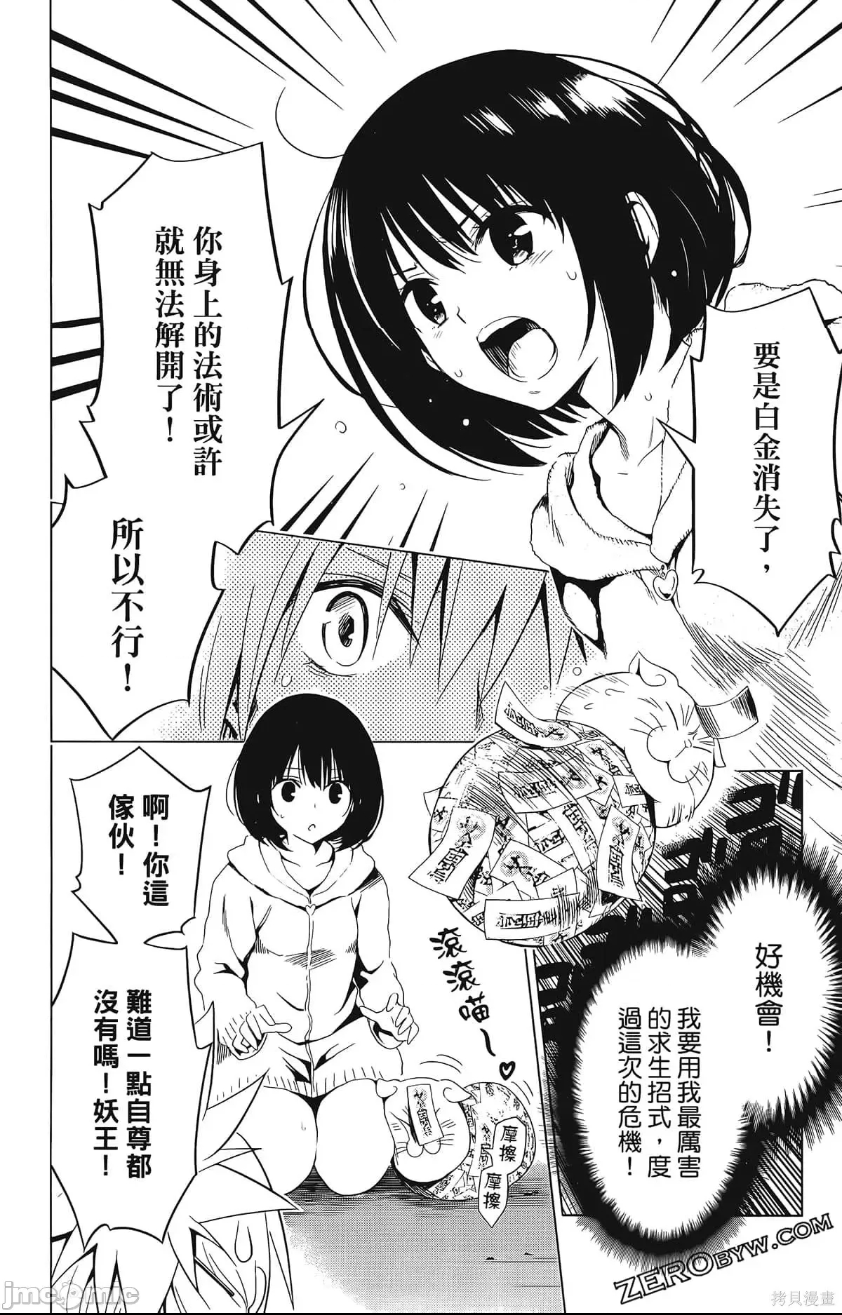 第 106 页