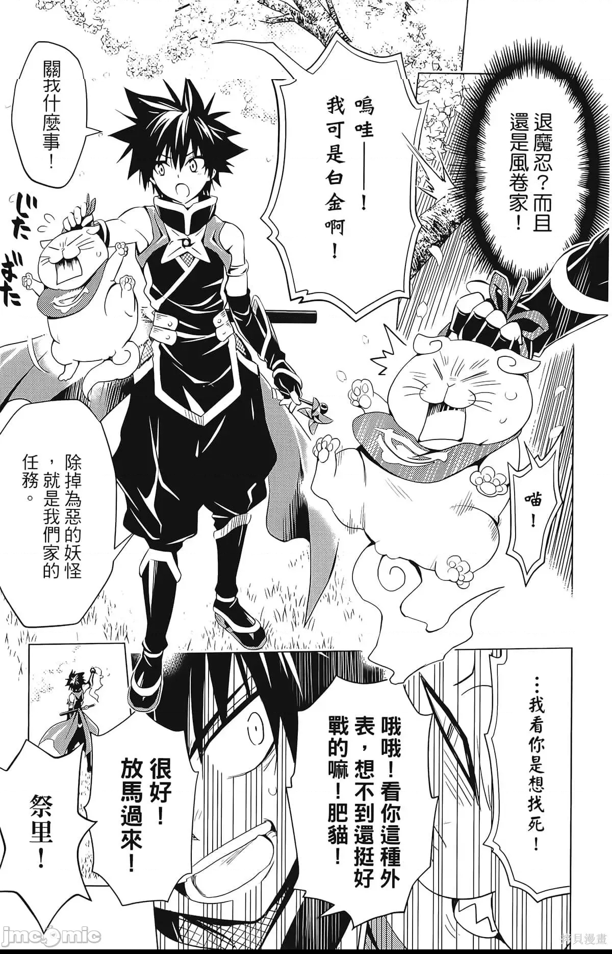 第 11 页