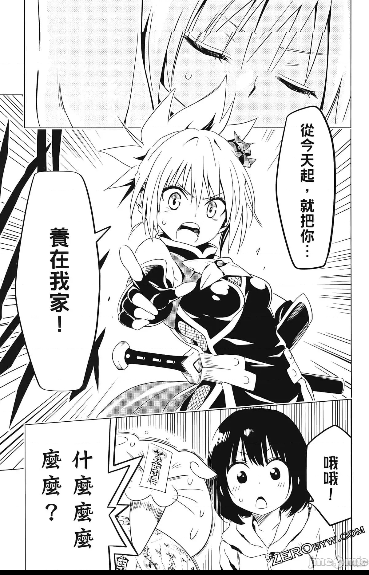 第 111 页