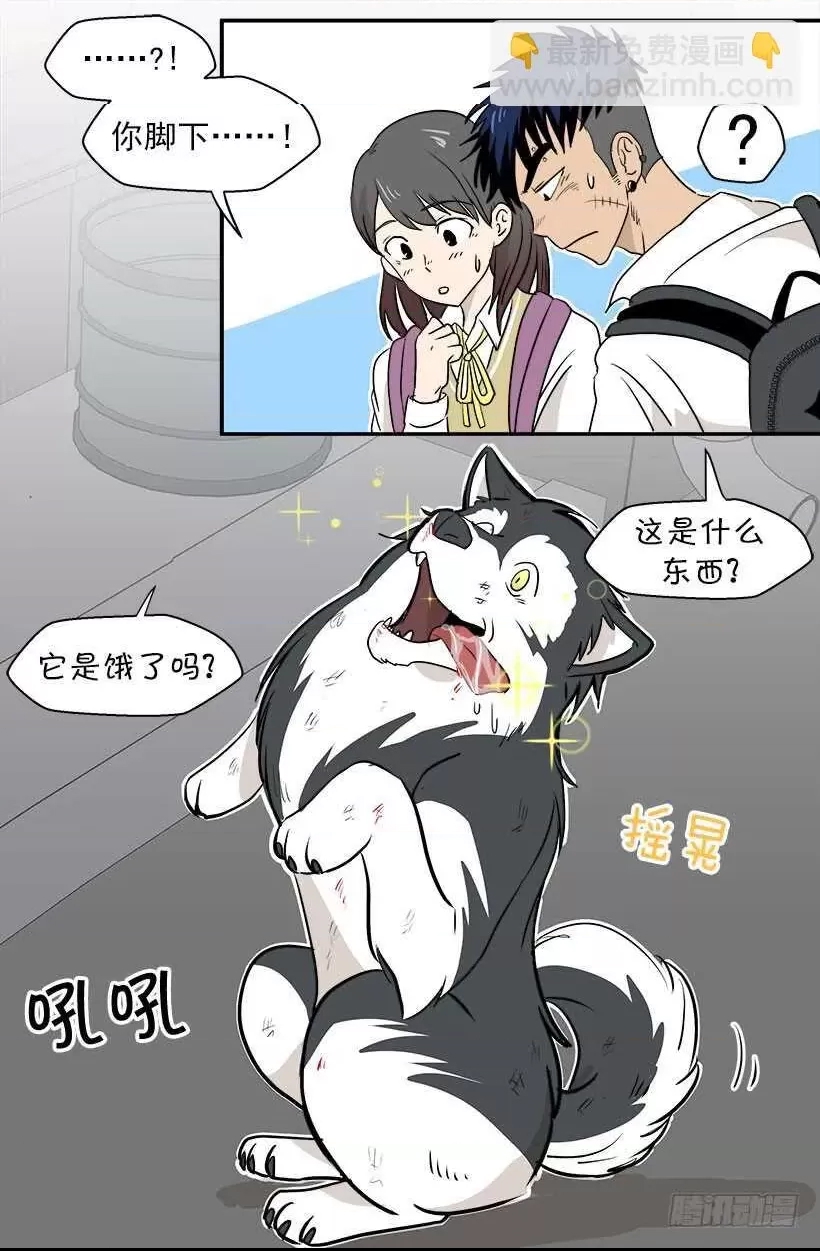 第 3 页