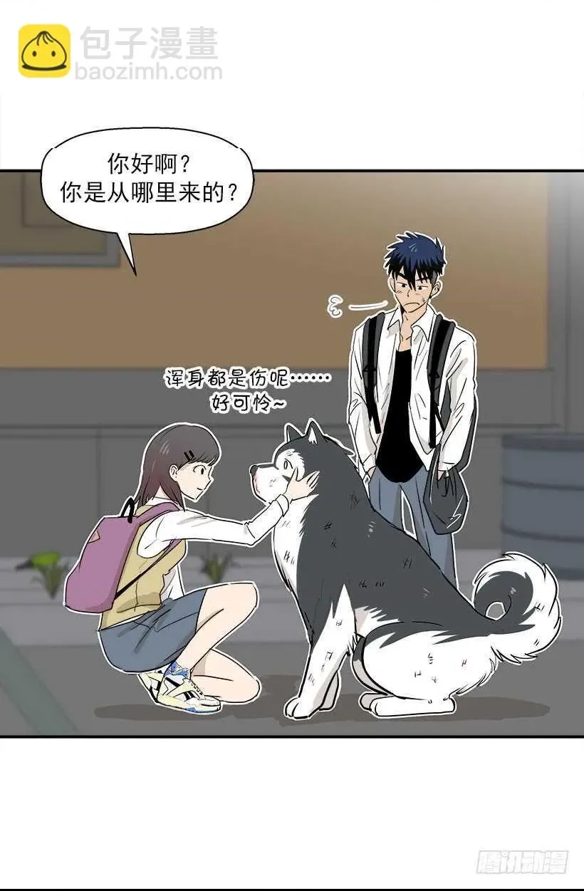 第 4 页