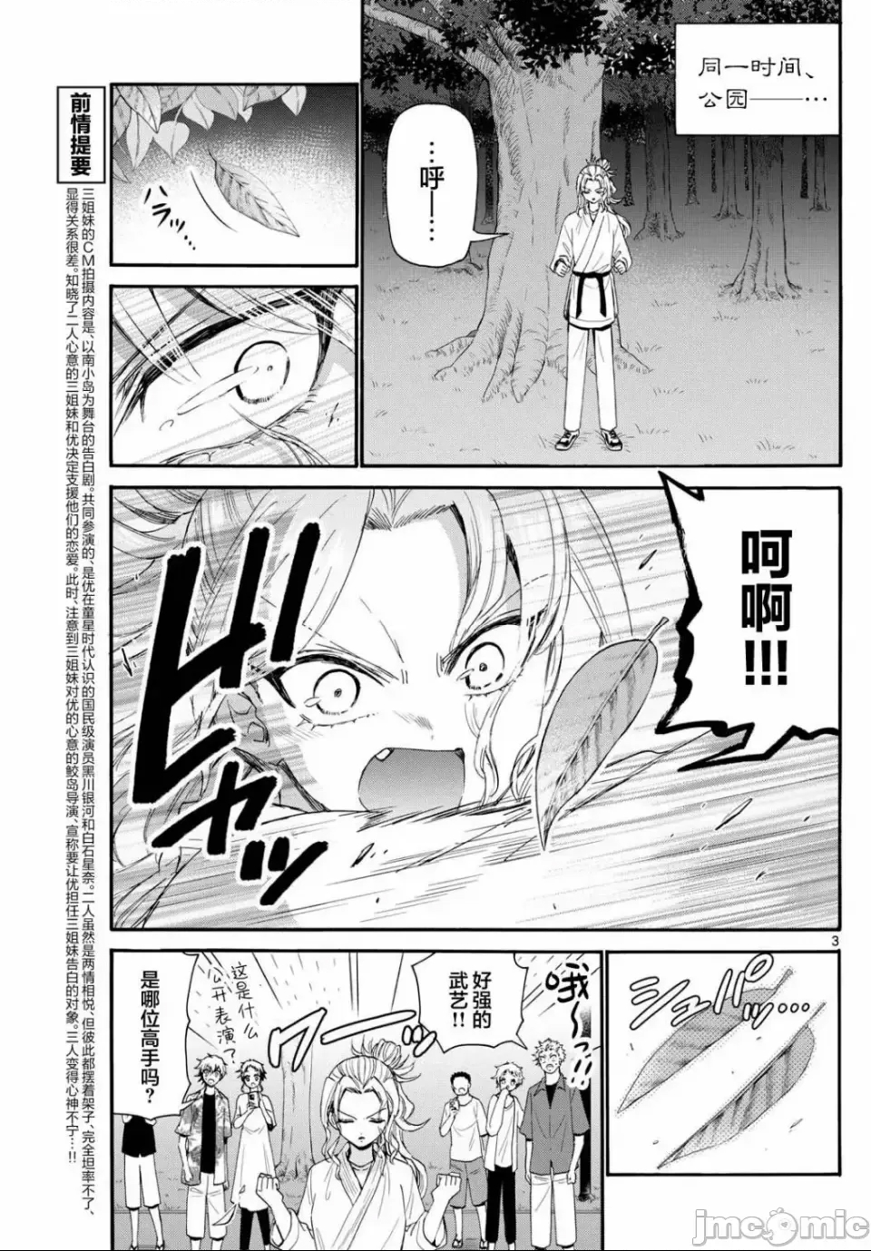 第 3 页