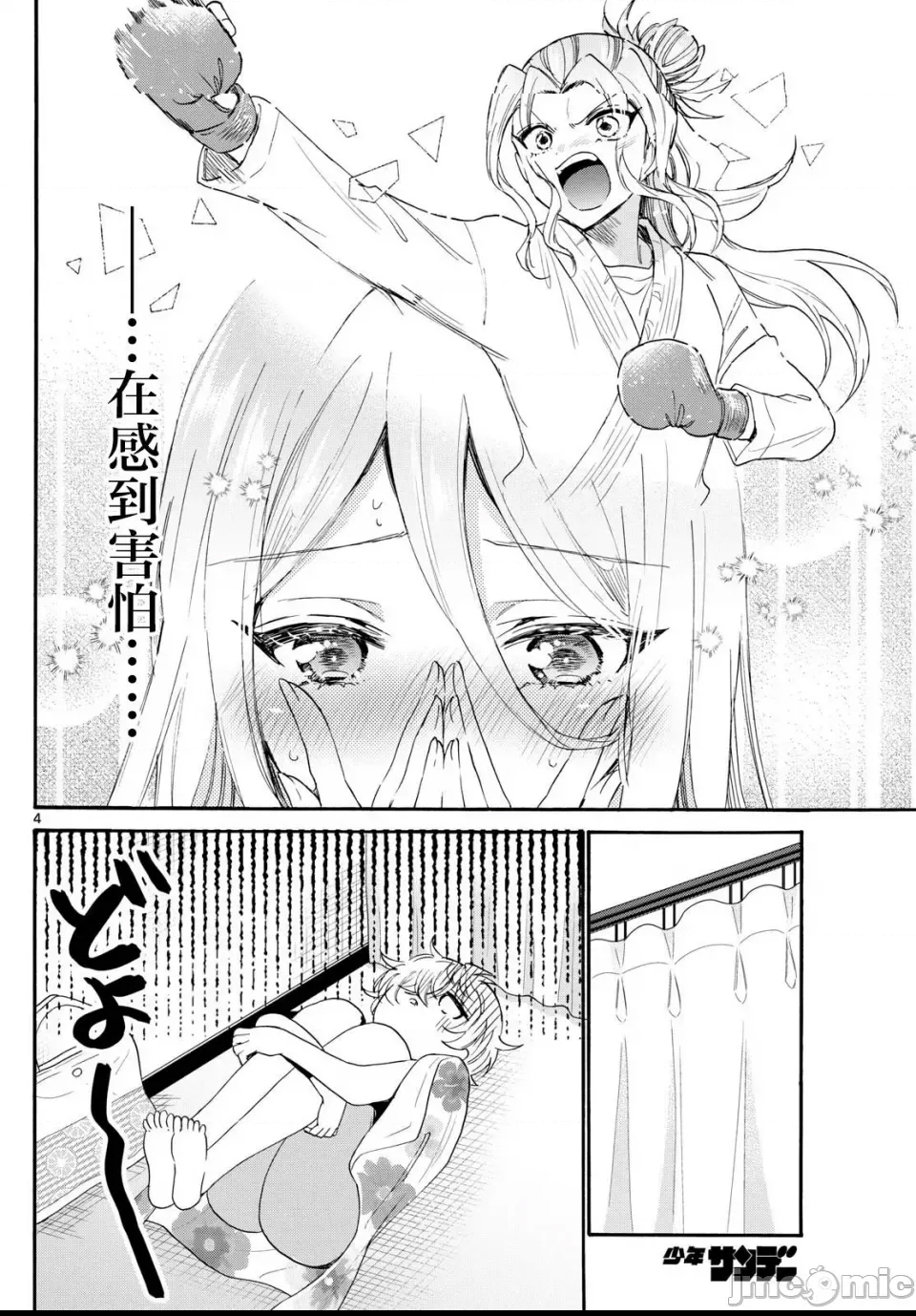 第 4 页
