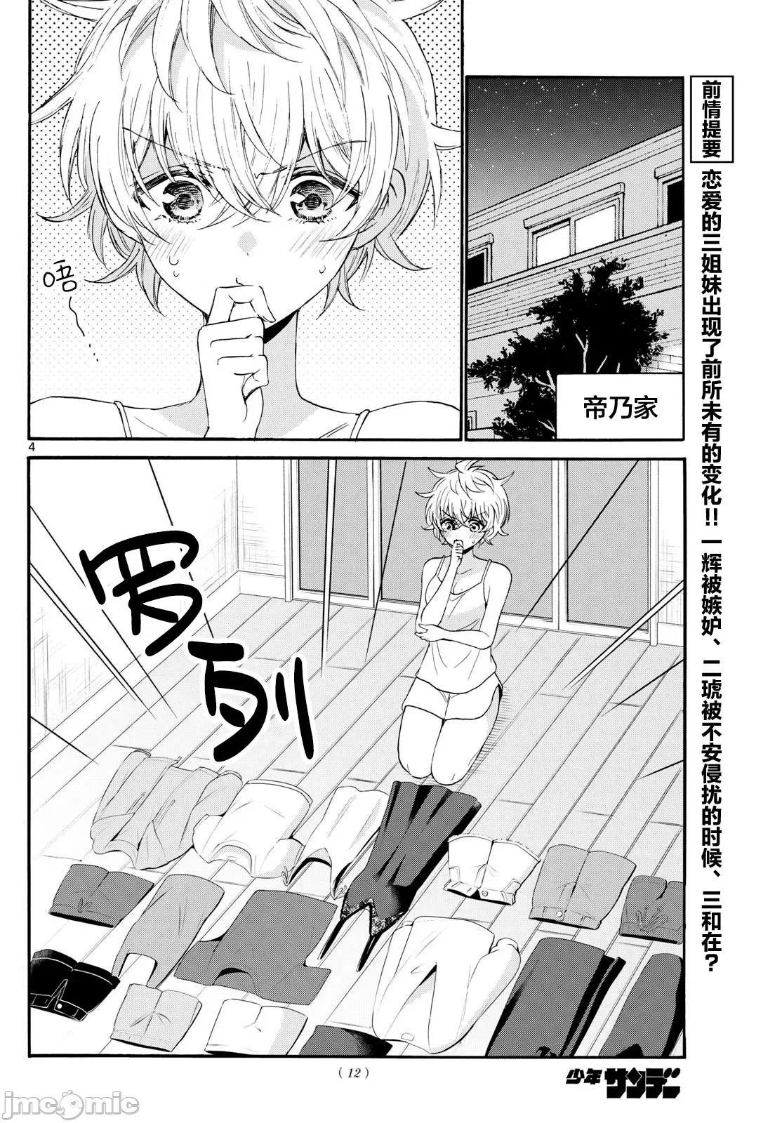 第 4 页