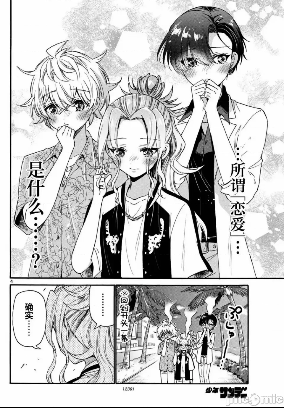 第 4 页