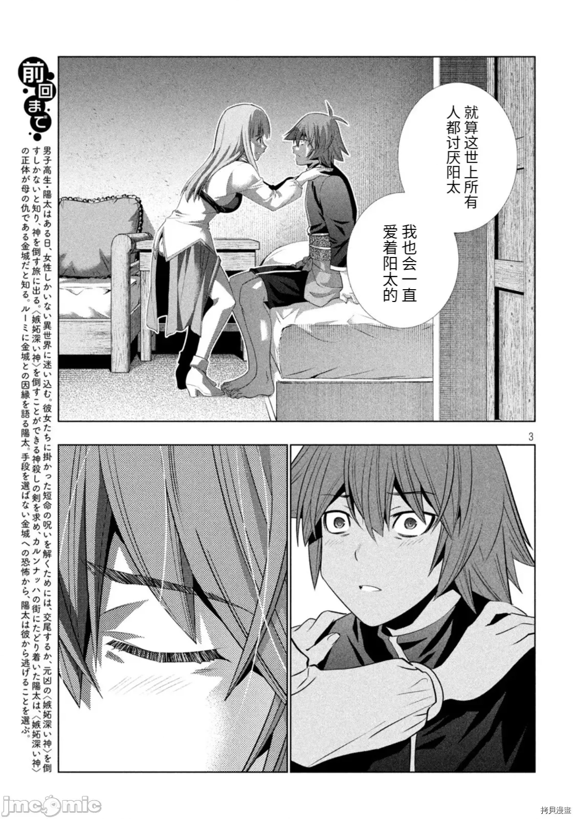 第 3 页