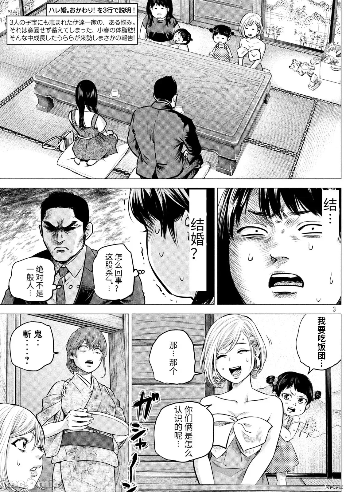 第 3 页